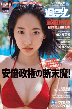 皮条客